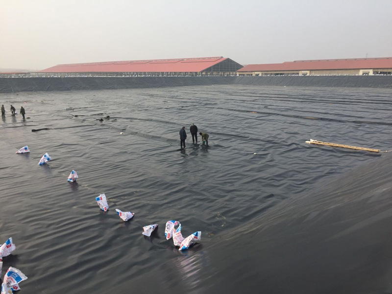 牧场污水池项目